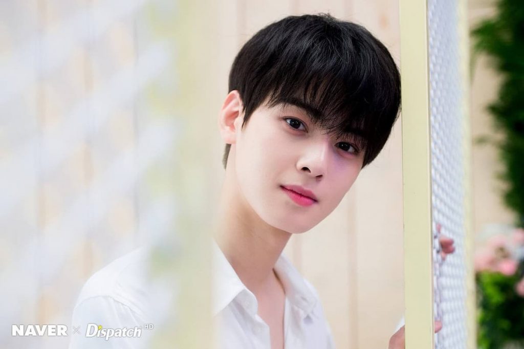 Profil dan Biodata Cha Eun Woo